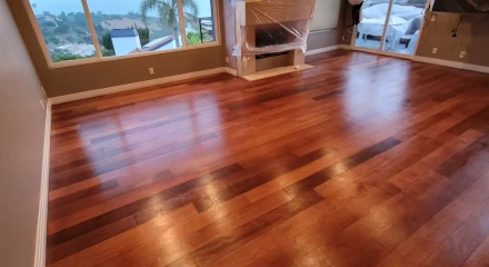 Floor Restoration